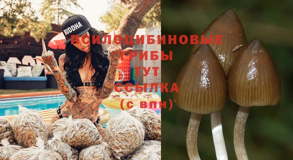 а пвп мука Дмитриев